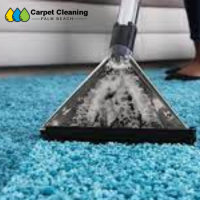 Carpet Cleaning Palm Beach
