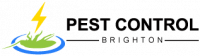 Best Pest Control Brighton