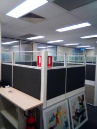 C.A.M. Painting service