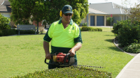 Jim's Mowing Regents Park