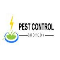 Pest Control Croydon