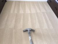 Carpet Cleaning Reservoir