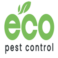 Eco Pest Control Perth