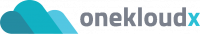 OneKloudX | NetSuite Partner