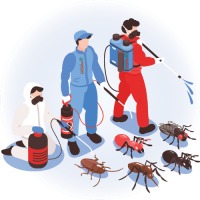Pest Control Canterbury