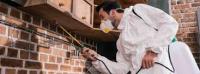 Pest Control Dulwich Hill