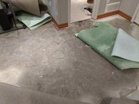 Peters Flood Damage Restoration Brisbane