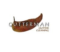 Gutterman Gutter cleaning
