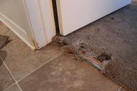 Squeaky Carpet Repair Perth