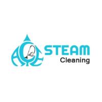 Ace Steam Clean