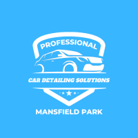 Professional Car Detailing Solutions Mansfield Park