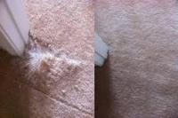 Spotless Carpet Repair Perth