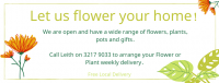 Your Pick Flowers & Gifts