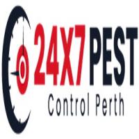 Rodent Treatment Perth