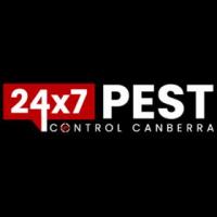 Ant Inspection Canberra