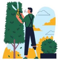 Luxury Landscaping Canberra