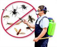 Pest Control Darlinghurst
