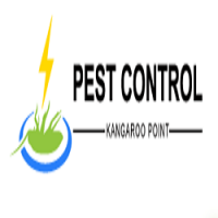 Pest Control Kangaroo Point