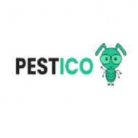 Pestico Pest Control Brisbane
