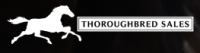 Thoroughbred Sales