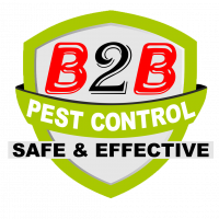 B2B Pest Control