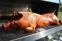 Slow cooked Pig on the spit, moist and tender and delicious