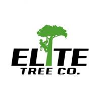 Elite Tree Company