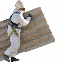 Express Asbestos Solutions