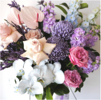 Flora Blume