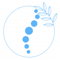 Spinal Health and Co Chiropractic Gladstone