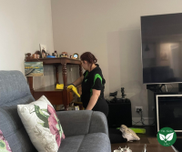 The Clean Life - Carpet Cleaning