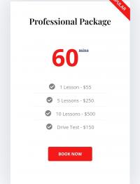 Gagan Driving School