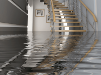We Do Flood Damage Restoration Adelaide