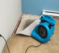 Carpet Repair Ipswich