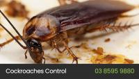 Eco Pest Control Melbourne