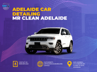 Mr Clean Adelaide