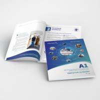 NSM - Executive Summary Design