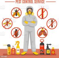 Flatline Pest Control - Central Coast Pest Control