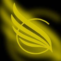 Goldwing Executive Cars