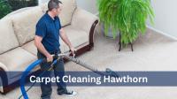 Carpet Cleaning Hawthorn