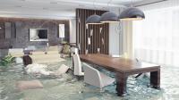 Flood Damage Restoration Toowong