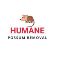 Humane Possum Removal Elwood