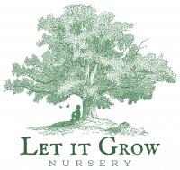 Let it Grow Nursery
