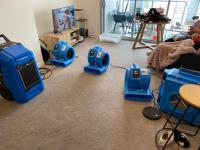 Refresh Carpet Cleaning