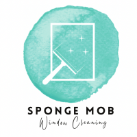 Sponge Mob Window Cleaning