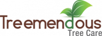 Treemendous Tree Care