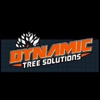 Dynamic Tree Solutions