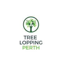 South Perth Tree Service