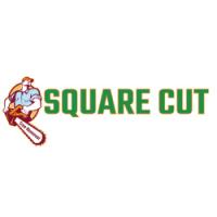 Square Cut Tree Removal