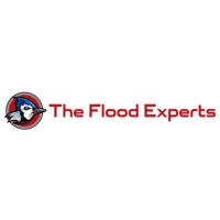 The Flood Experts